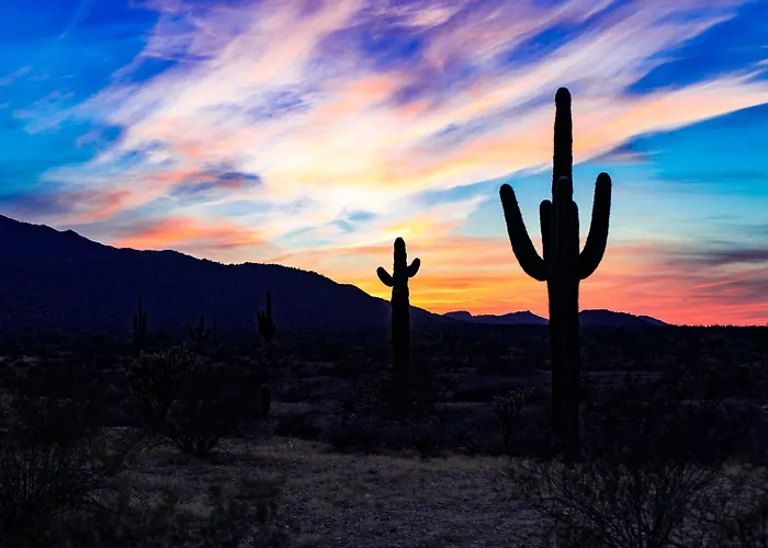 Arizona Grand Resort 4*